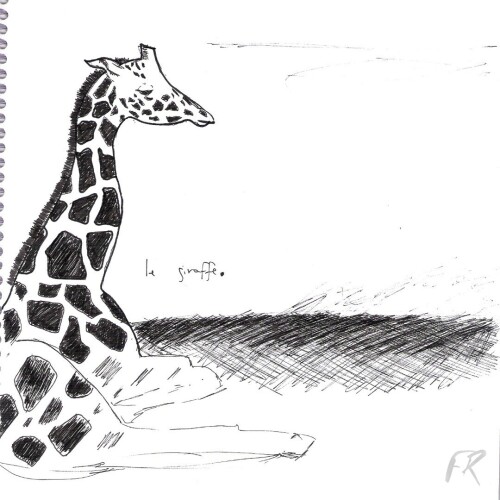 Giraffa.jpeg